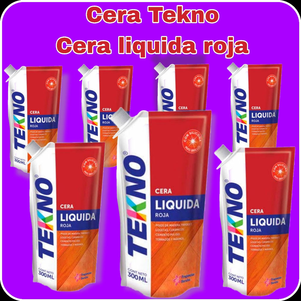CERA TEKNO LIQUIDA 300 ml. X 12