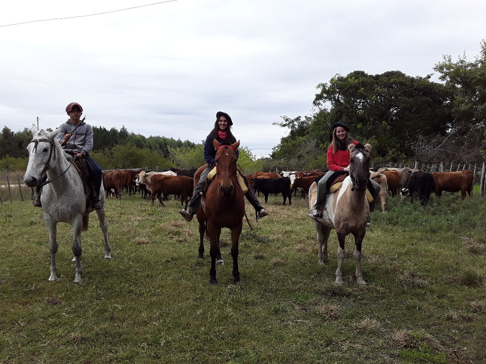 Travesías a caballo
