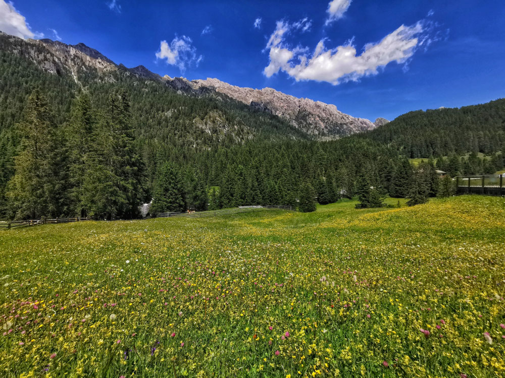 Zurück an der Sas Rigais Hütte