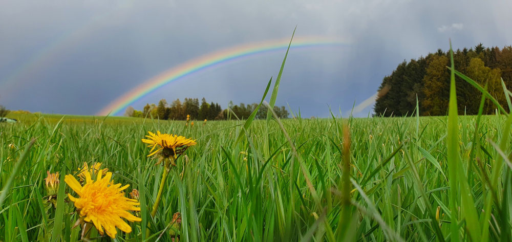 17.05.21 Regenbogen 🌈 Gollnerberg