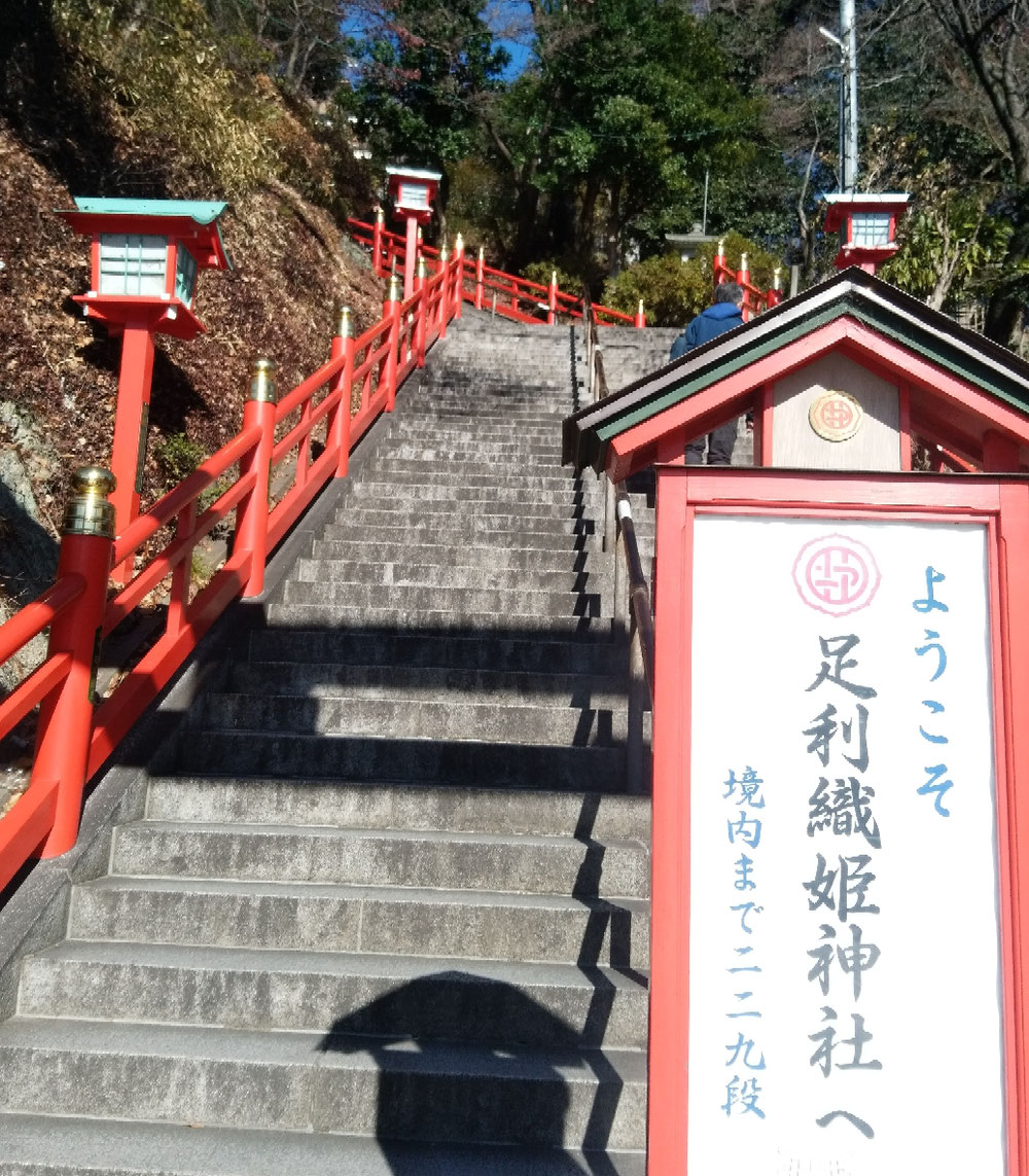 境内まで229段上り始めま~す!!