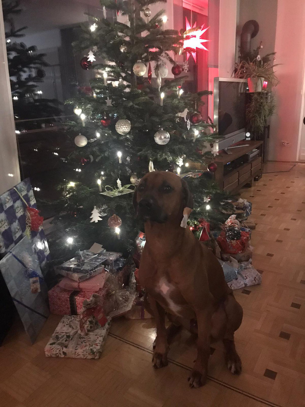 Weihnachten 2019