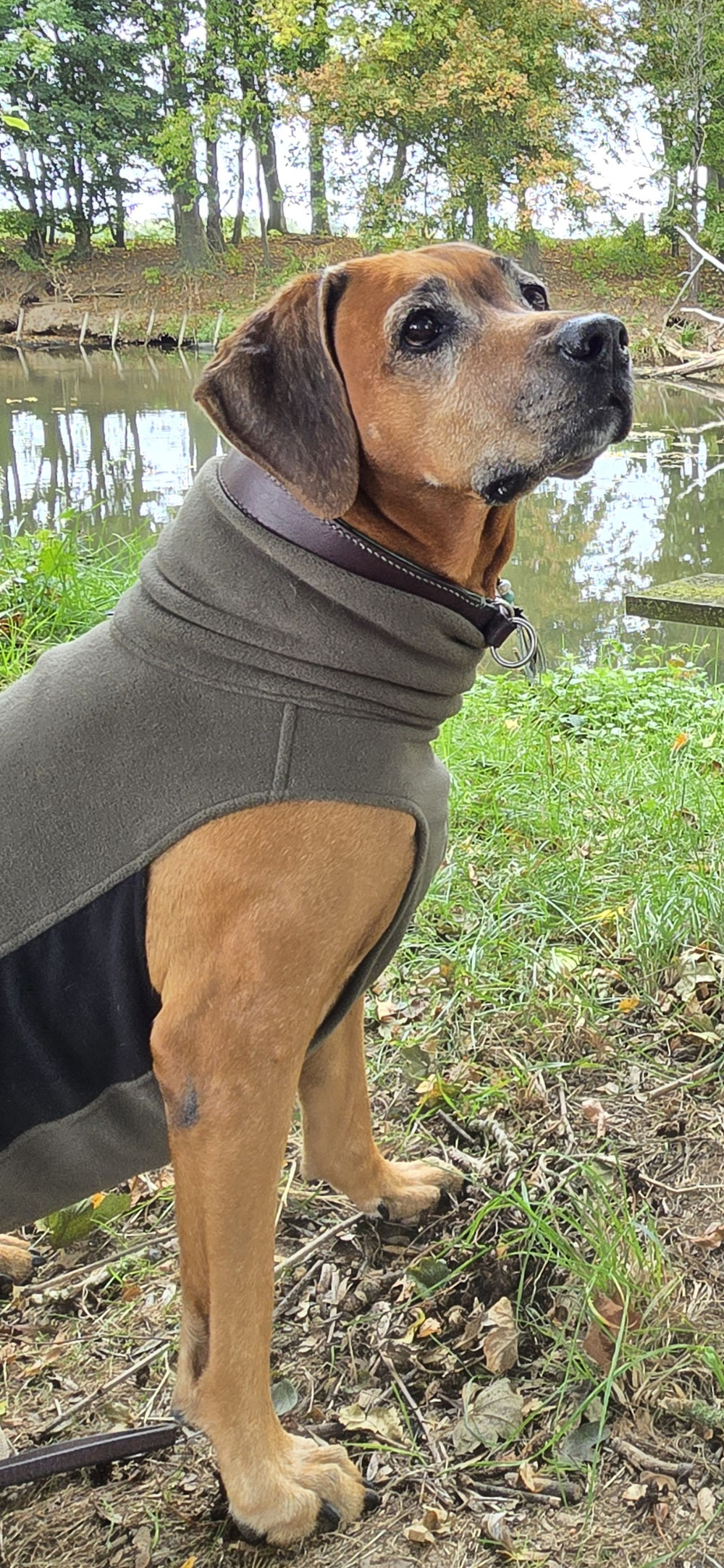 Amera❤️11 Jahre,sechs Monate