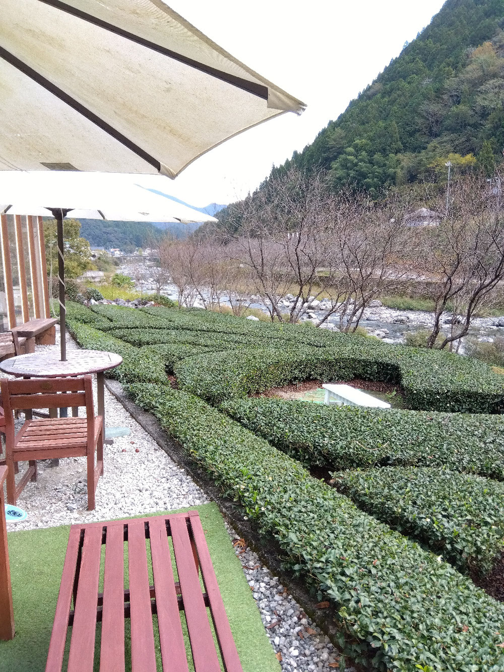 仁淀川沿いのお茶農園カフェ