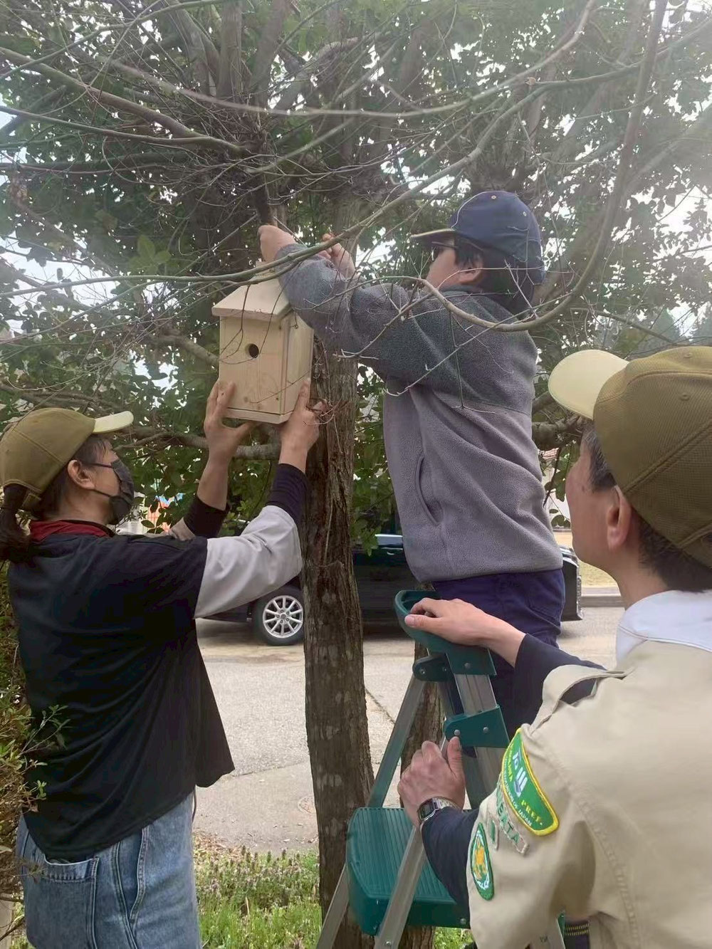 みんなで作った鳥の巣🐦　　　　　　　　　　　　　　　　来てくれるかな！？