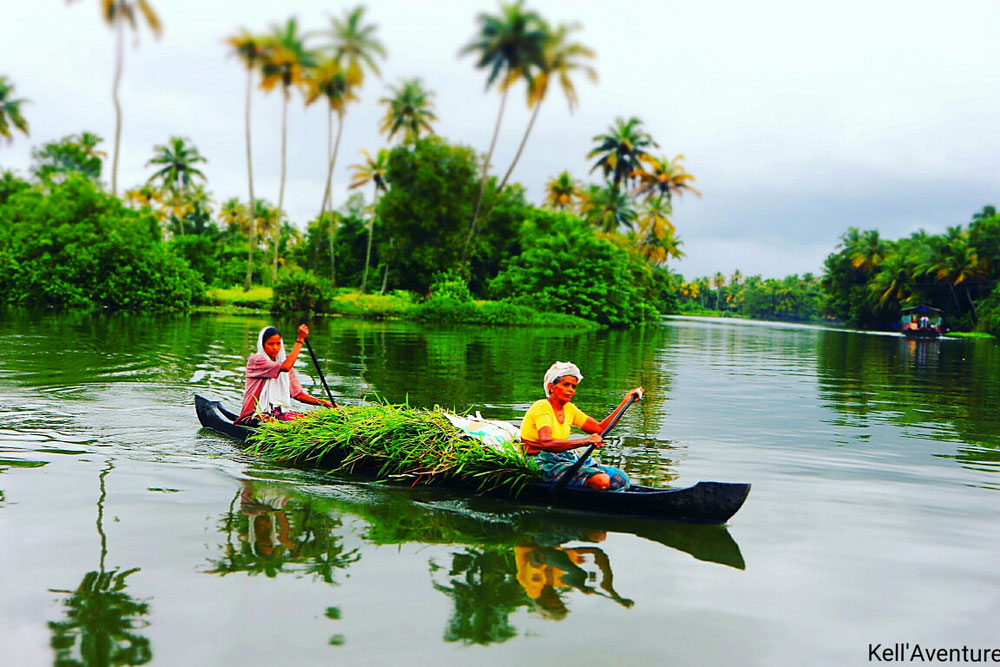 Appelley. Inde du sud. Kerala