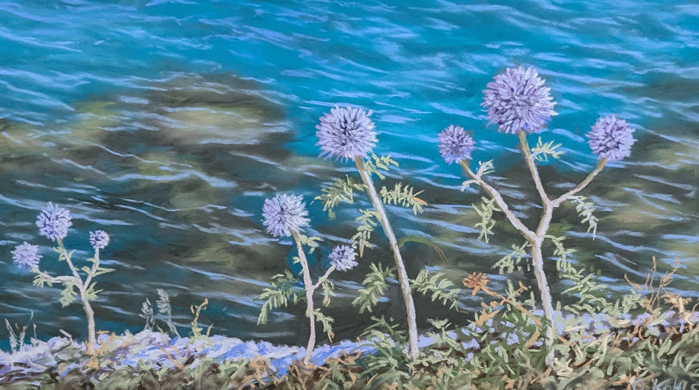 Disteln an der Steilküste, Pastell, 25x45cm, 2024