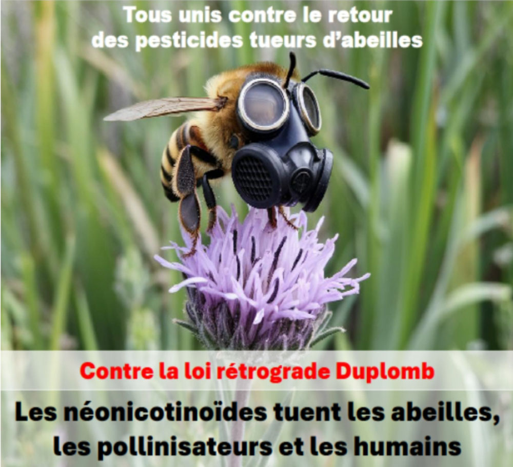 Loi Duplomb 