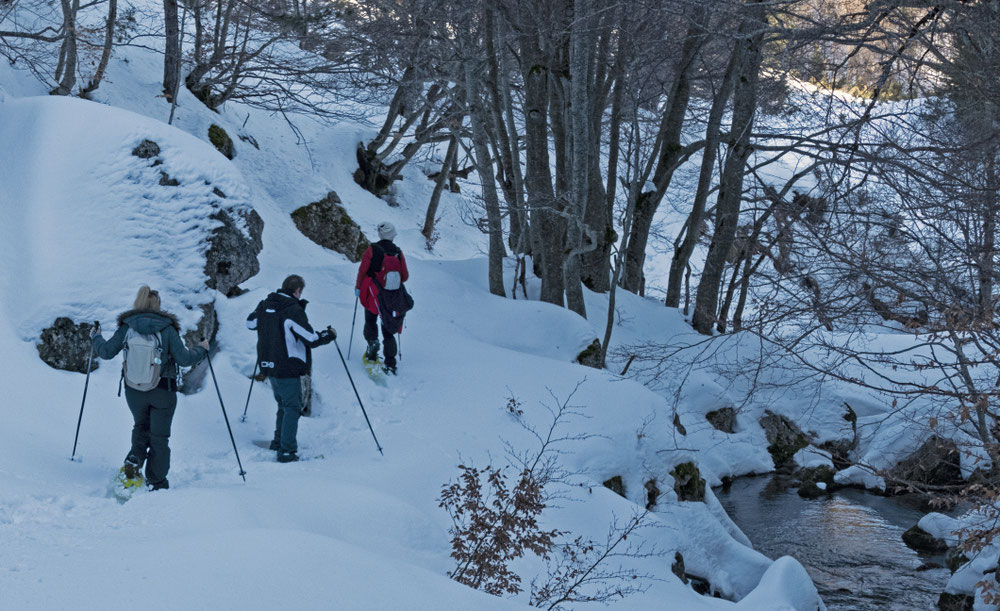 Bosco di faggi innevato escursione Valle Messere Maiella Abruzzo