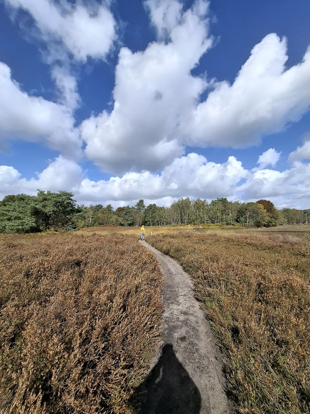 Het gouden pad Community