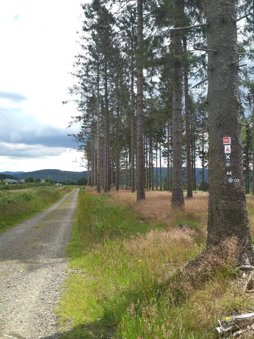 Der Weg bis zur Hoheleyer Hütte