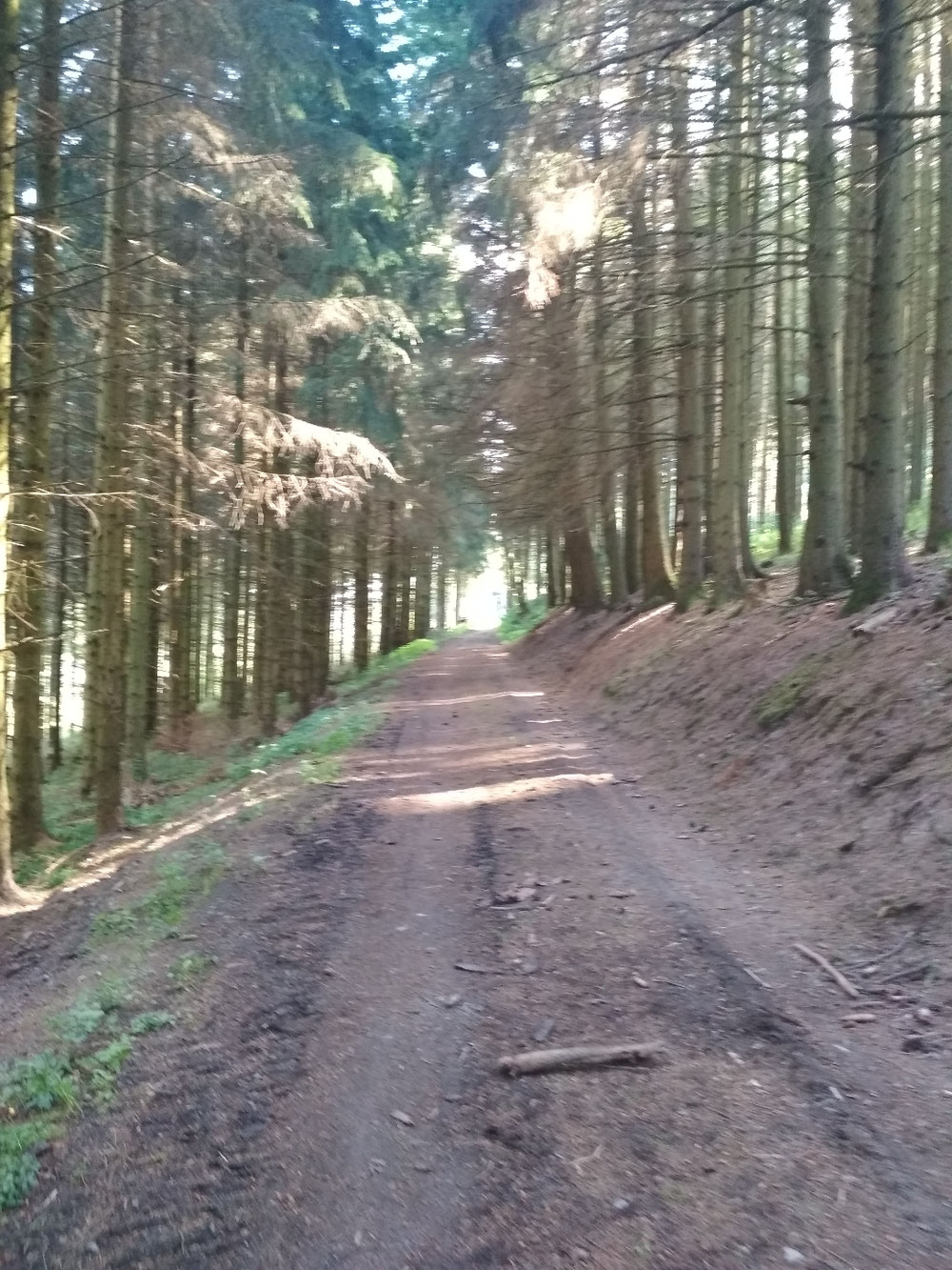 Der Weg Richtung Dödesberg