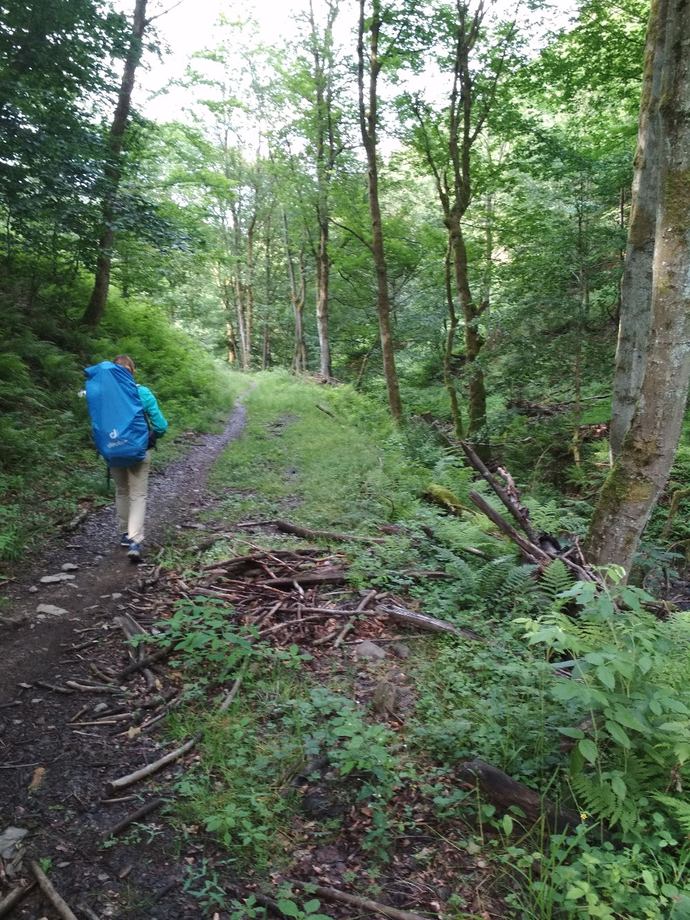 An der Ilse