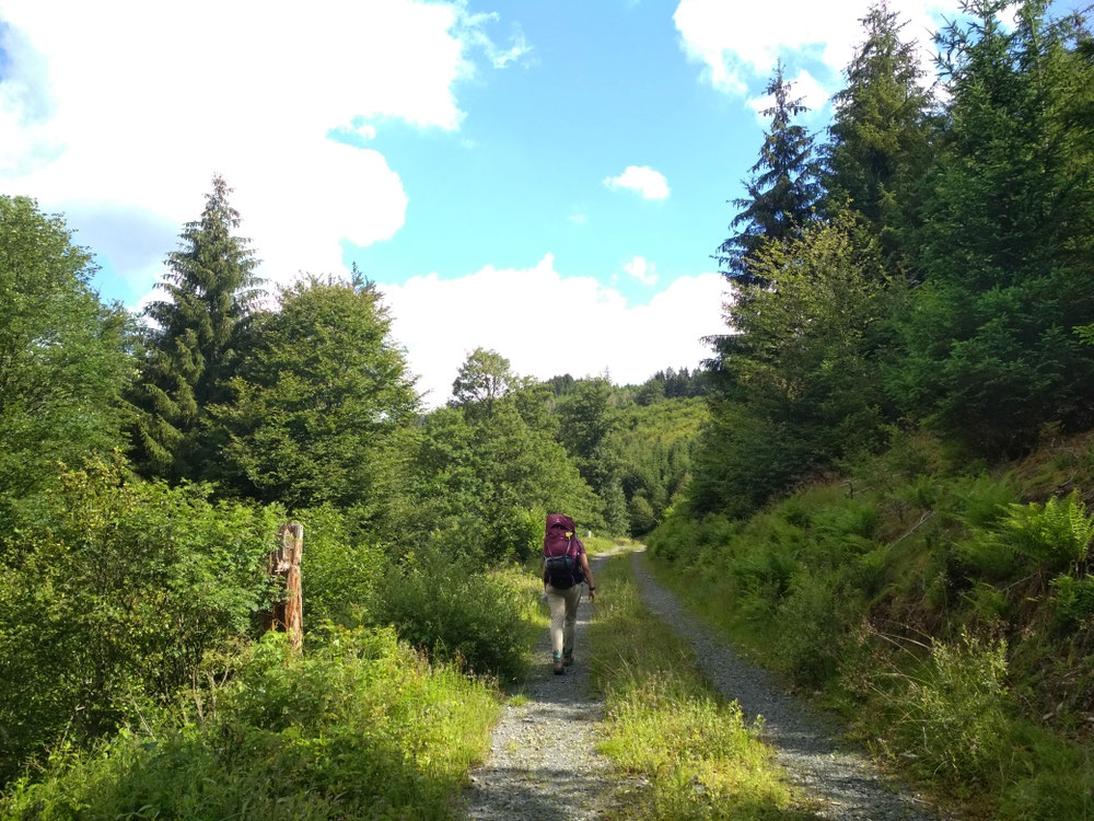 Der Weg entlang des Bachs.