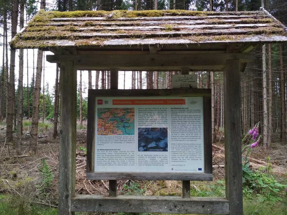 Der Rothaarsteig 