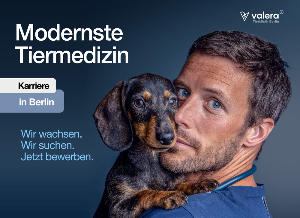 Neuro-Webdesign für KMU zur Steigerung von Vertrauen und Anfragen