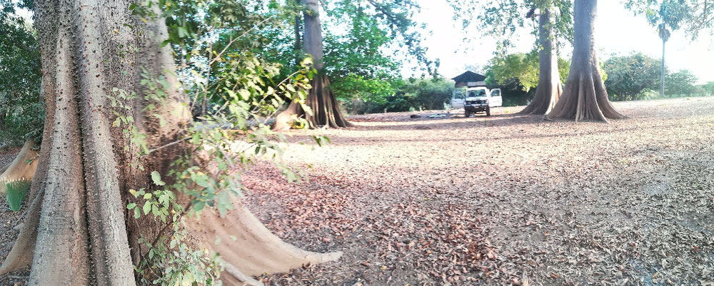 Campement de Wassadou