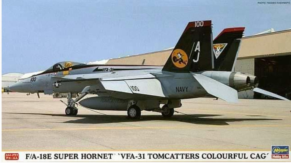 00882 F/A-18E Super Hornet  VFA-31 "Tomcatters"
