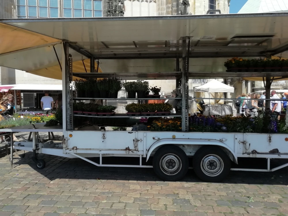 A flower shop in a van. متجر لبيع الزهور في شاحنة