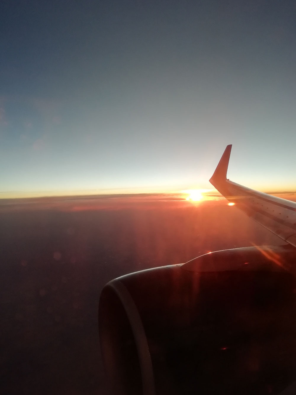 帰りの飛行機から!