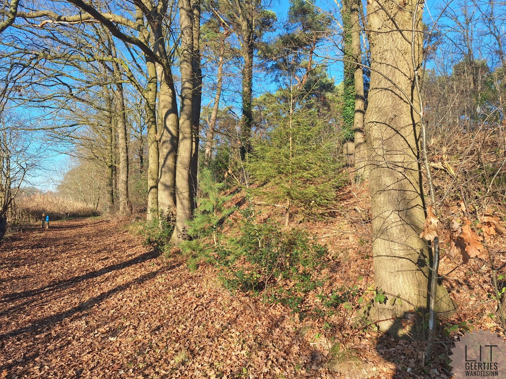 Spaziergang an der Maas entlang...
