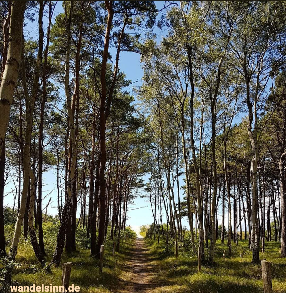 Wandelwege... zum Strand