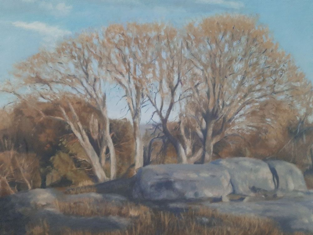 En la finca de Pilar. Valdemorillo