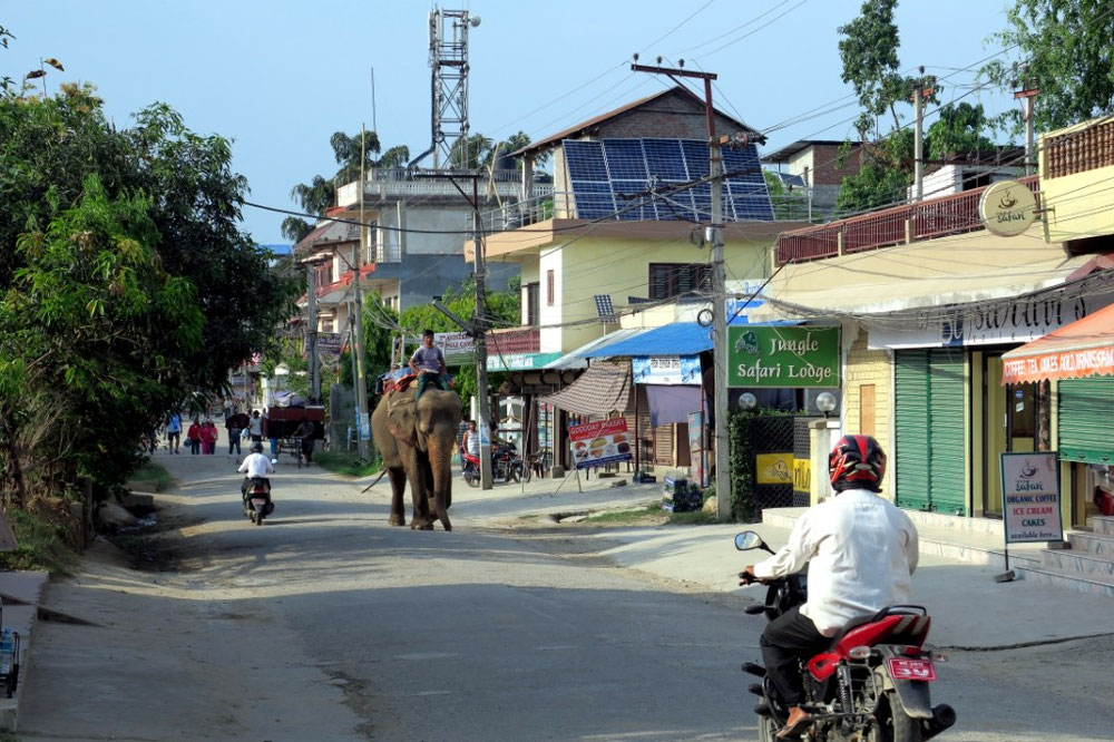 Main Street Chitwan 