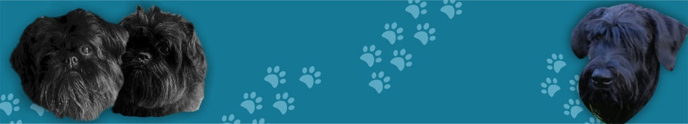 Affenpinscher & Zwergschnauzer vom DreieckshofWebseite!