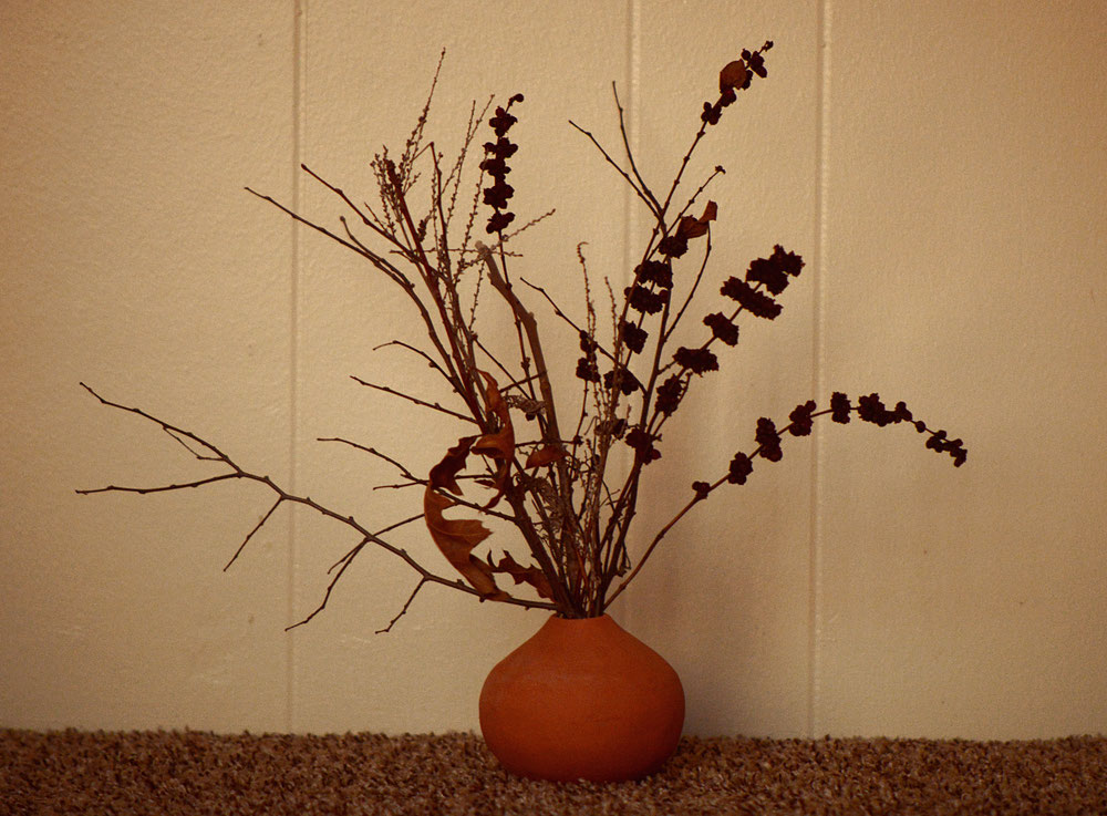 seed pot with dried stems for In a Vase on Monday