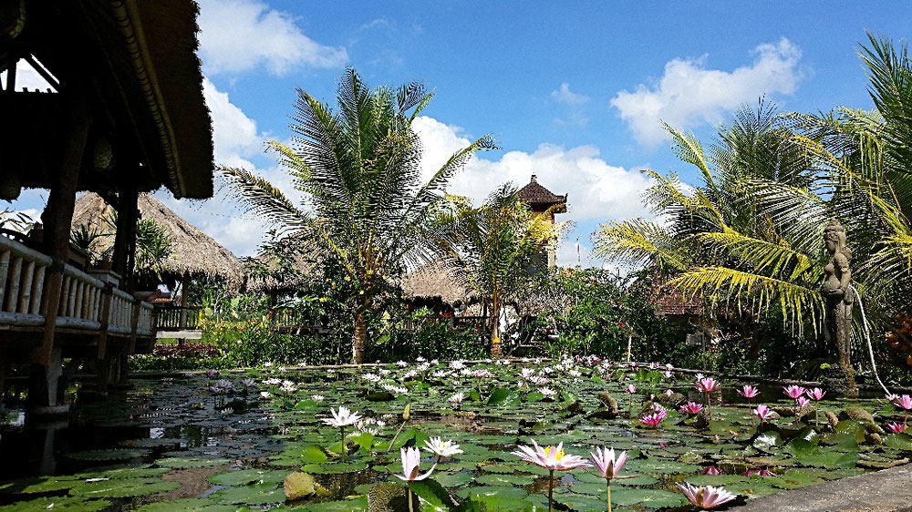 Ubud / Bali