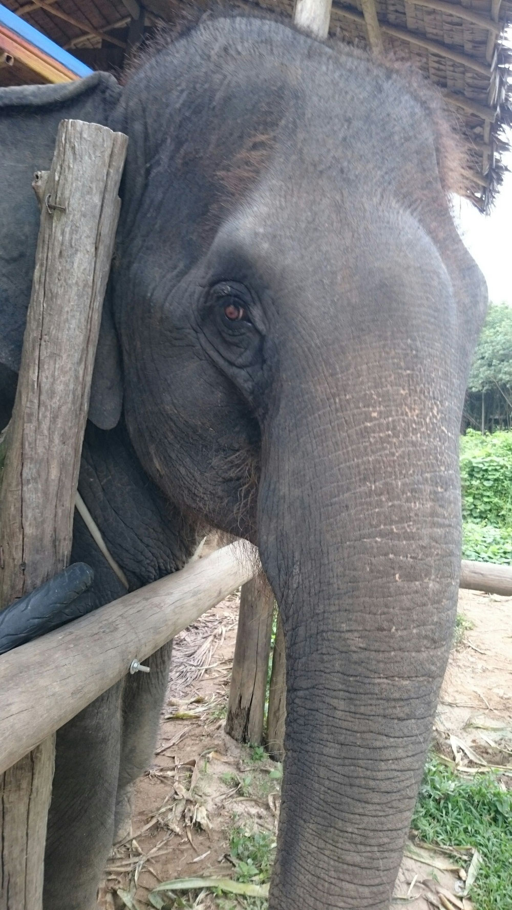 ...zum eigentlichen Grund unseres Ausfluges...