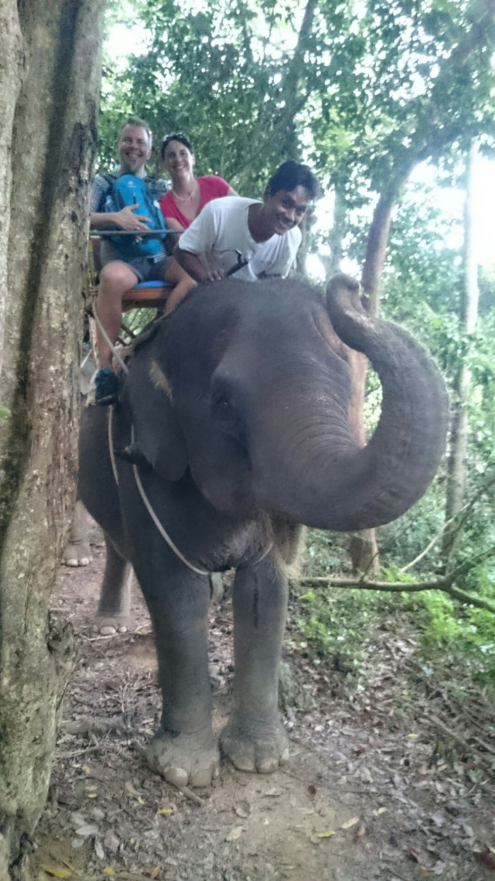 ...den wir wollten umbedingt mal Elefanten reiten...