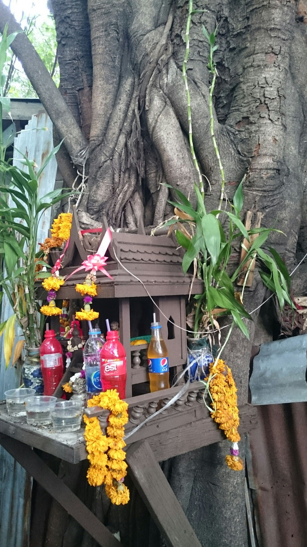 ...vorbei an kleinen Geisterschreinen an Uralten Bäumen ...