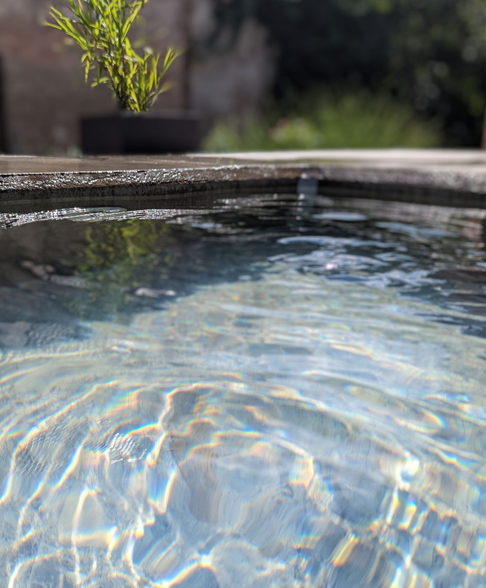 Sonne, Wasser, Pflanzen - herrlich 