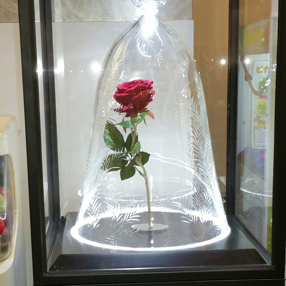 美女と野獣の魔法の薔薇