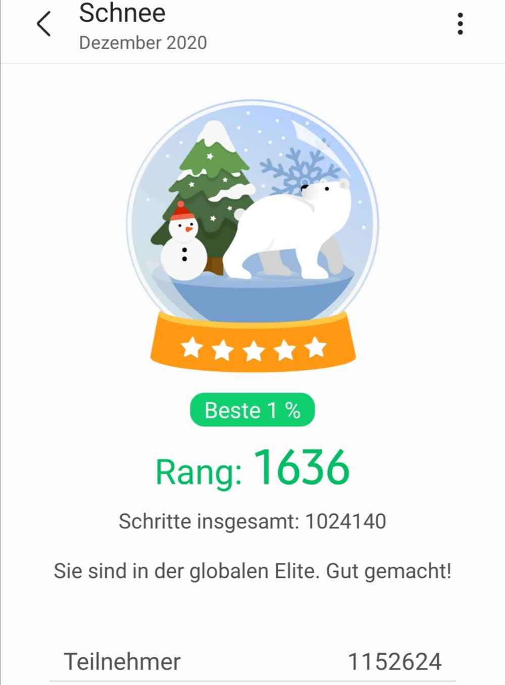 Schrittmillionär im Monat Dezember 2020