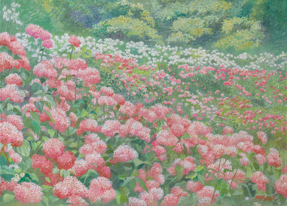 Hortensia　Ｆ４号