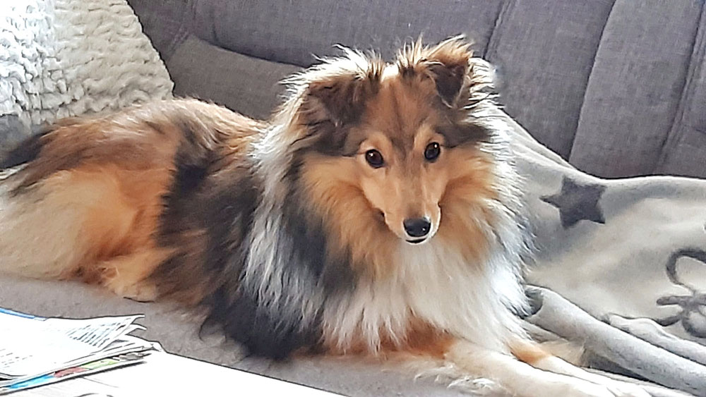 1 Jahr alt 