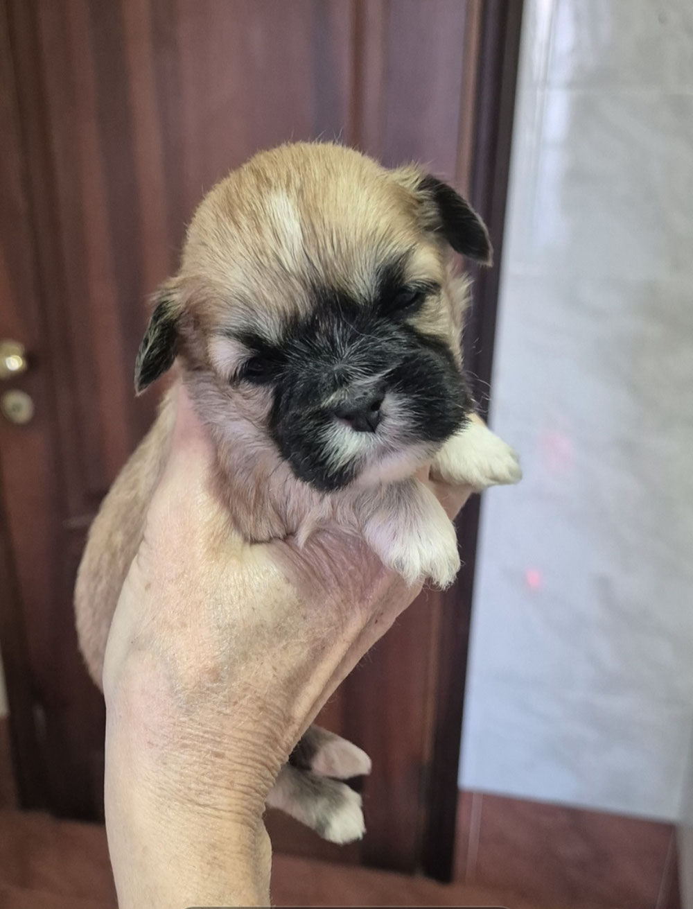 Femmina 🥰