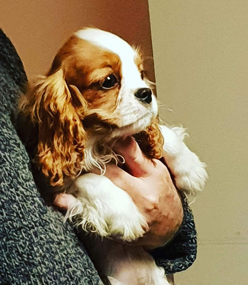 Mika Amelie della Pietra Aurea