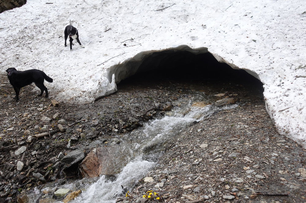 Mitten aus dem riesigen Schneeberg kam plötzlich ein Bach raus. Spannend! 