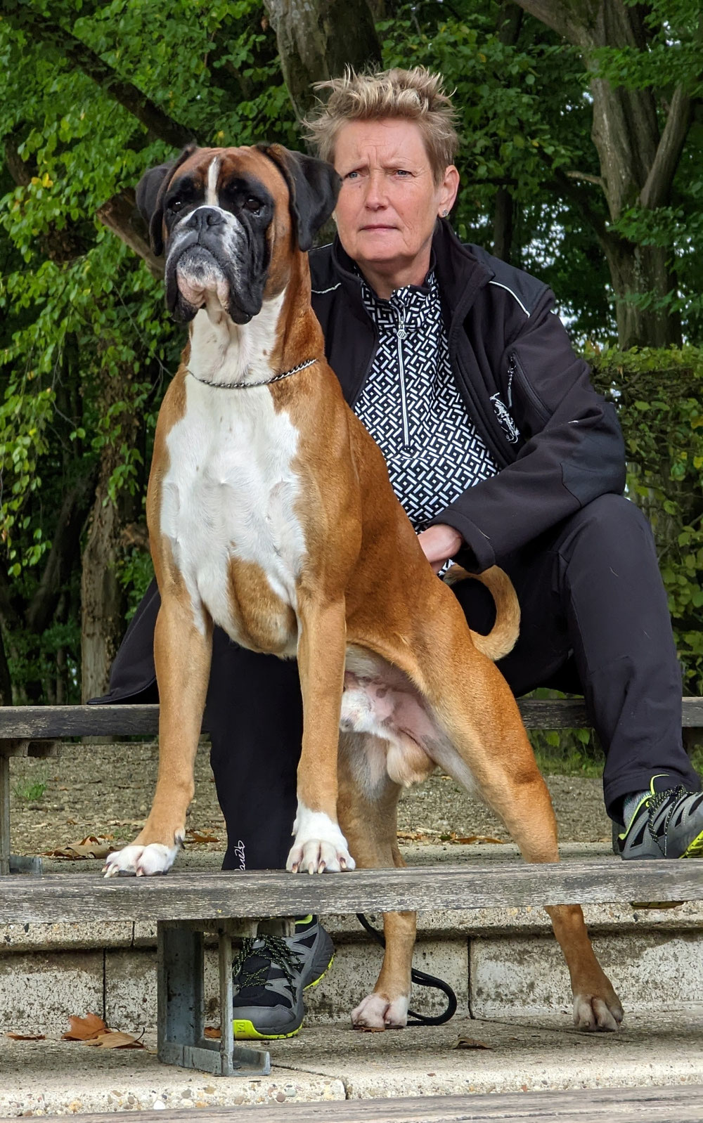 Daiko Gentleman vom Kälberbruch ( BH,AD,ZTP,IGP 2) Deutscher Champion VDH und CLUB, IBC Jahressieger, VDH Bundessieger