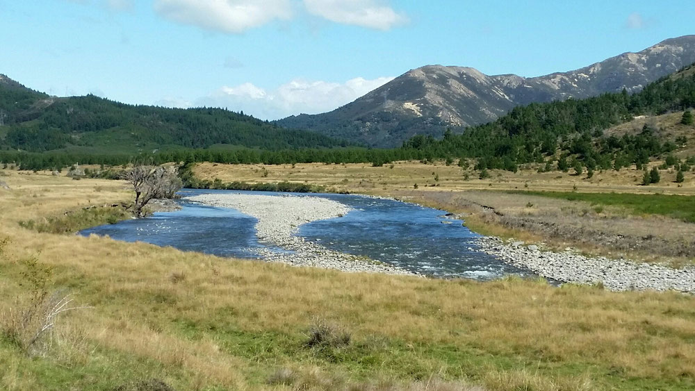 Clarence river