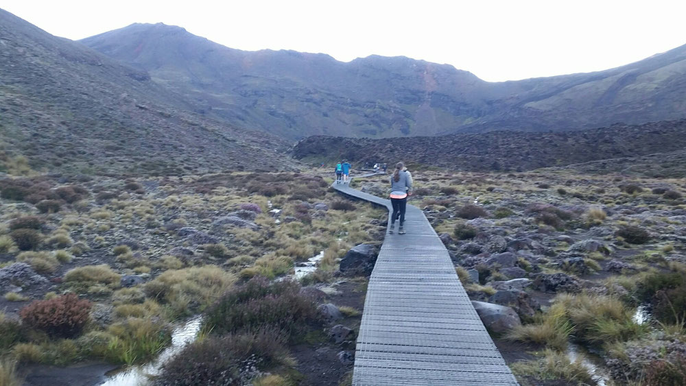 Beginn des Tongariro Alpine Crossing 