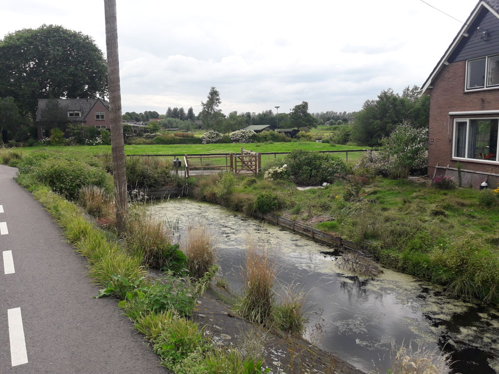 An der Lek auf dem Weg nach Gouda 