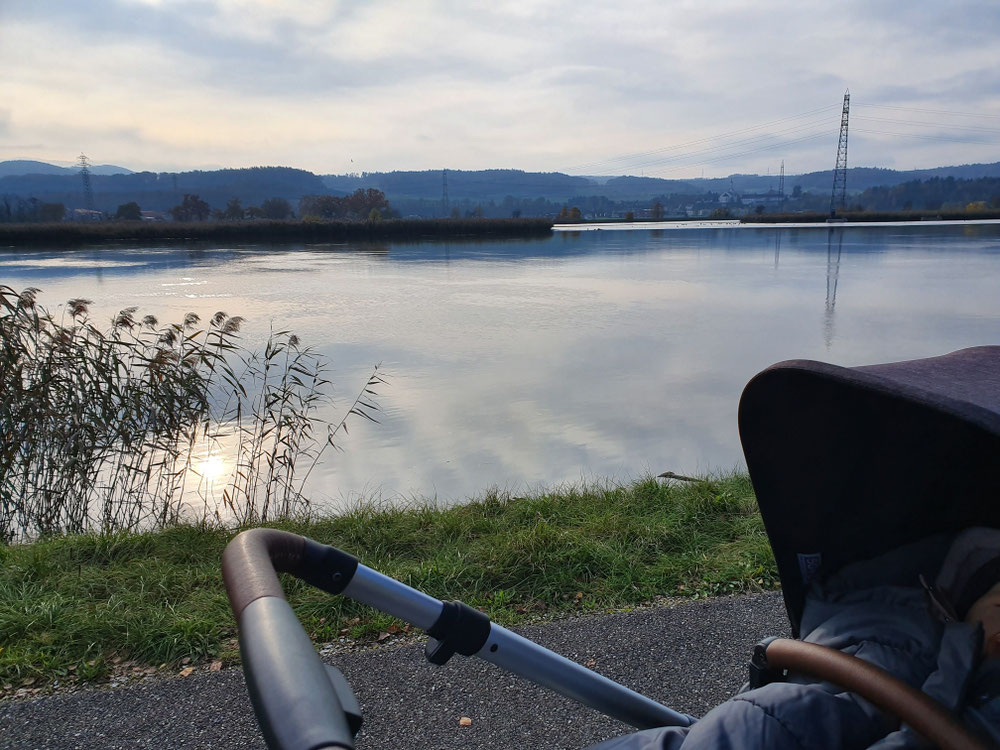 Hier wohnen die Entchen und Vögel 😊