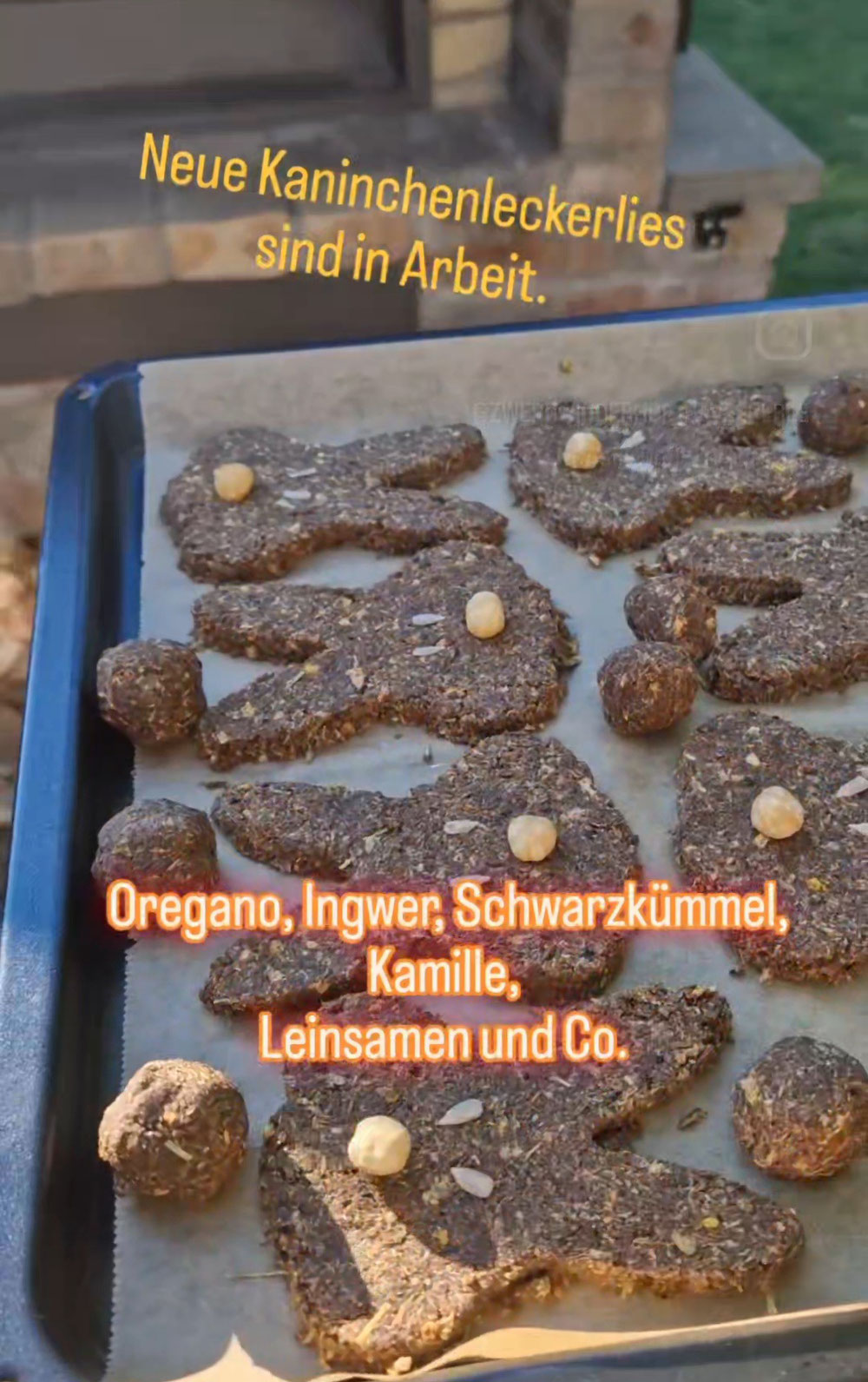 Eine wunderbare Unterstützung für das Immunsystem in der Herbst und Winterzeit.  🥰
