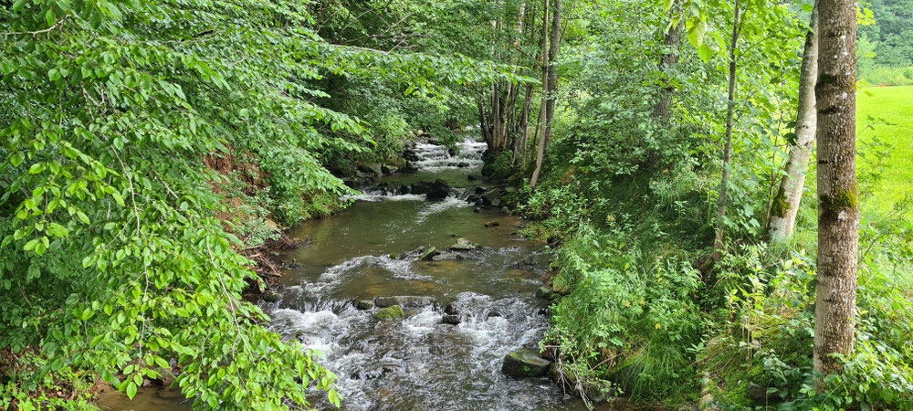 Schönes Bachtal