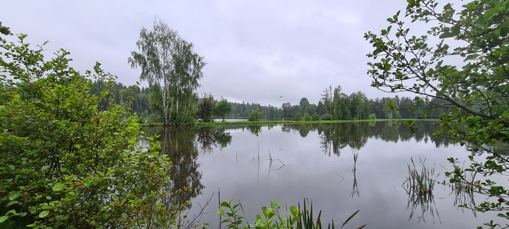 Teichlandschaft